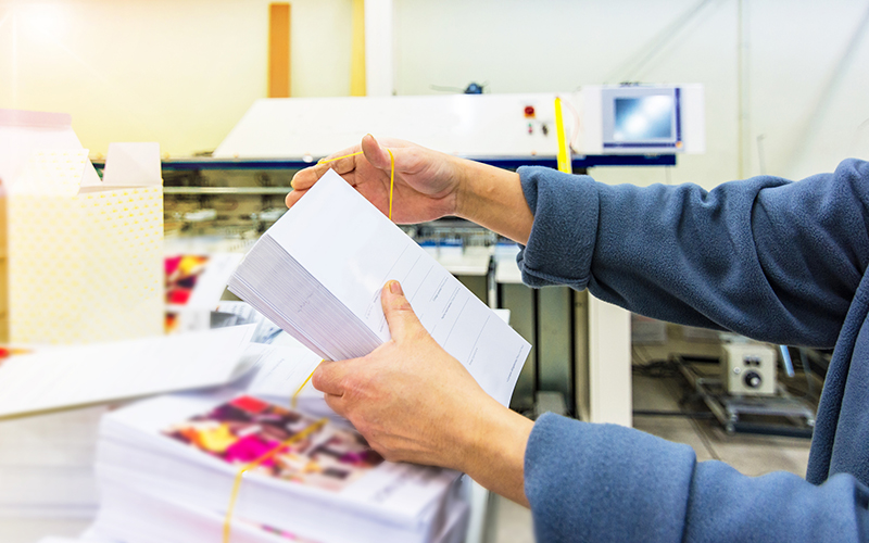 EDDM Printing: Affordable Direct Mail Marketing for Small Businesses